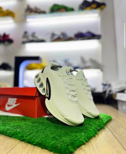 TN Nike sneakers