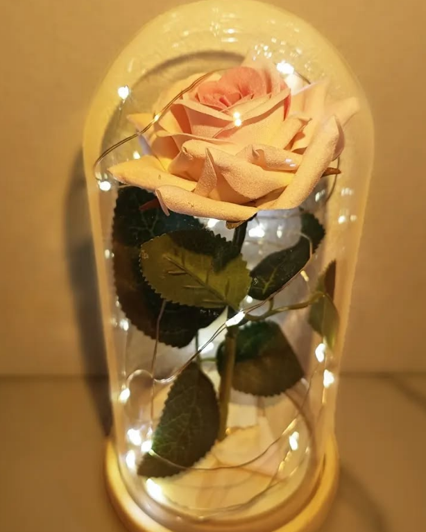 Роза под стеклянным куполом — идеальный подарок! 🥀✨