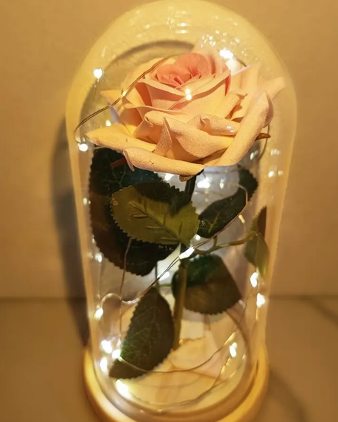 Роза под стеклянным куполом — идеальный подарок! 🥀✨