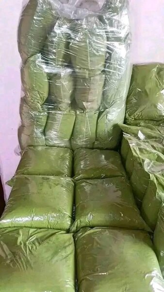 Moringa Powder