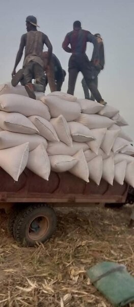 Cereals And Grains