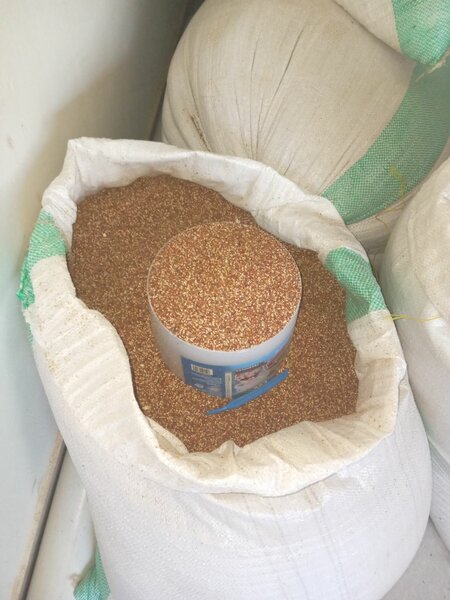Millet