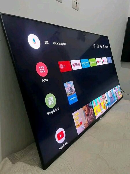 TV Sony 55 pousse