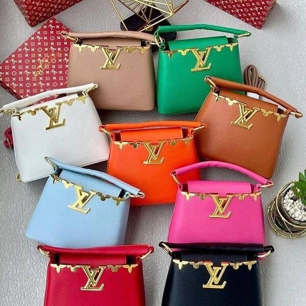 Sac Louis Vuitton