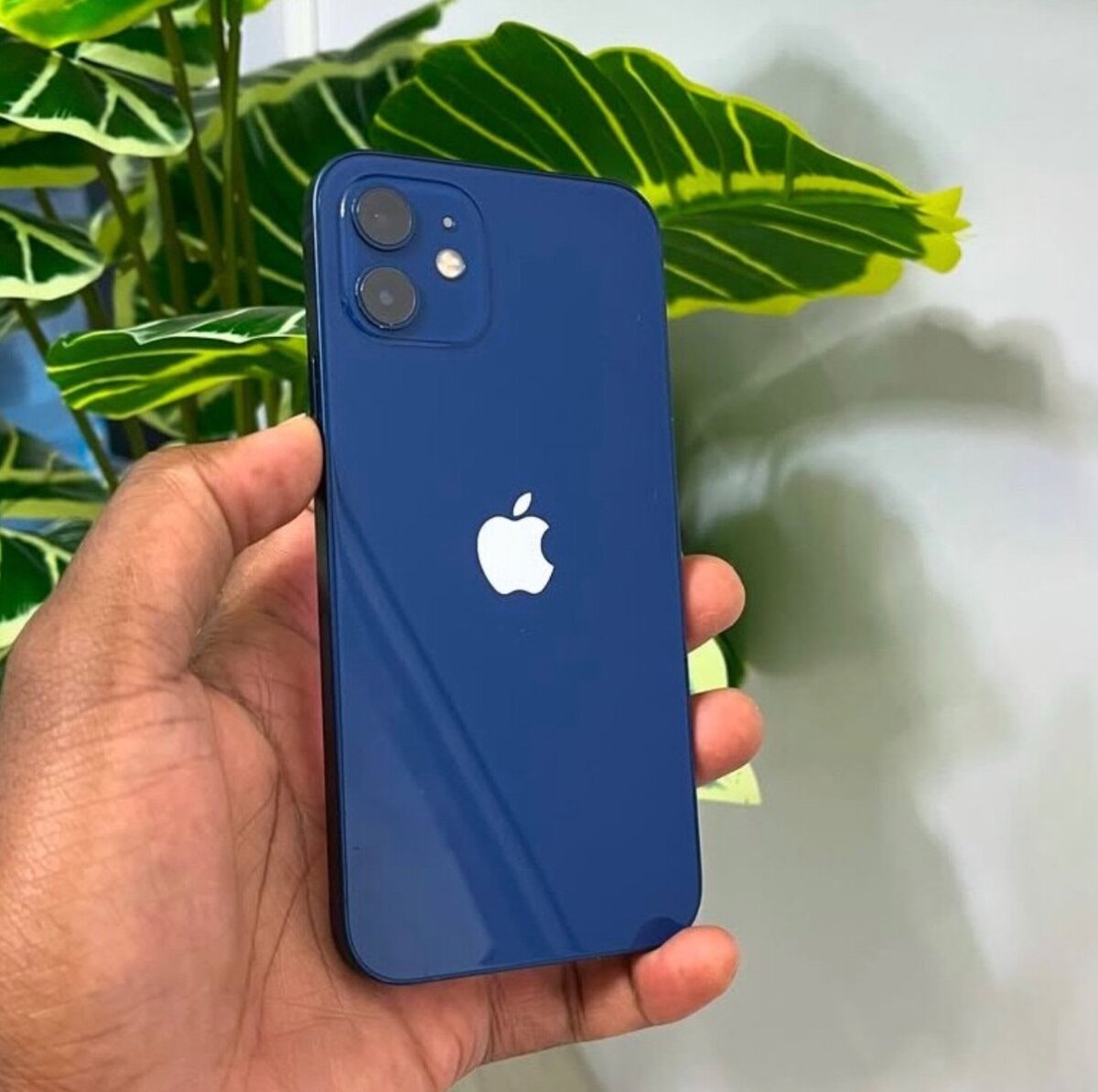 ROGGER IPHONES