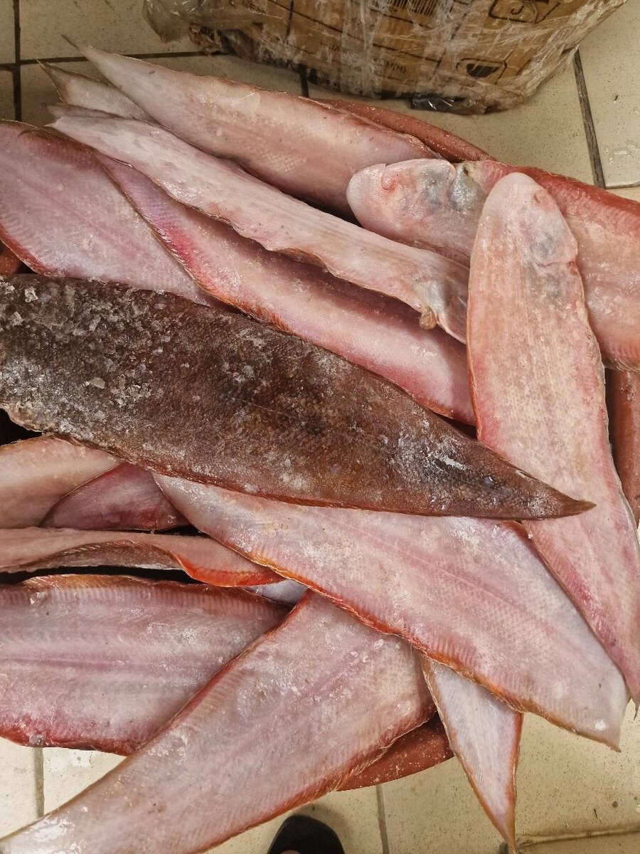 Poisson soles