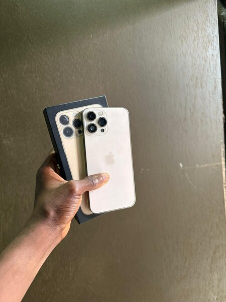 iPhone 13pro max