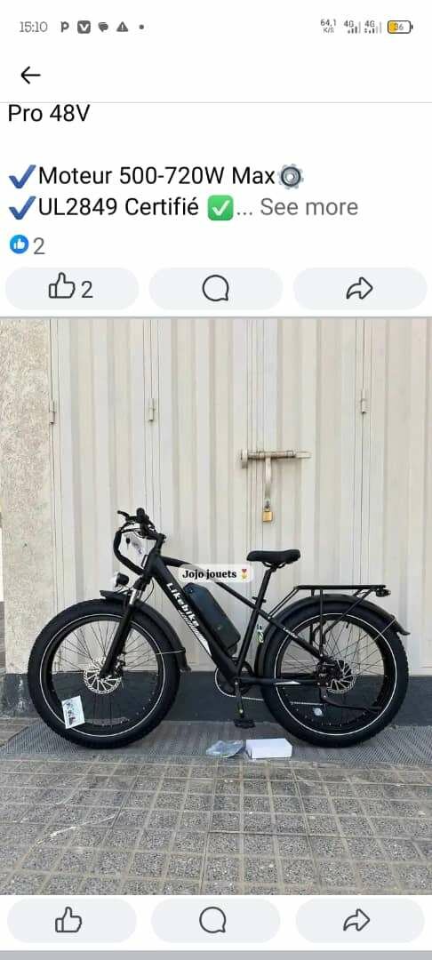 Vélo Électrique 48V 720W
