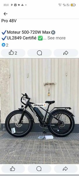 Vélo Électrique 48V 720W