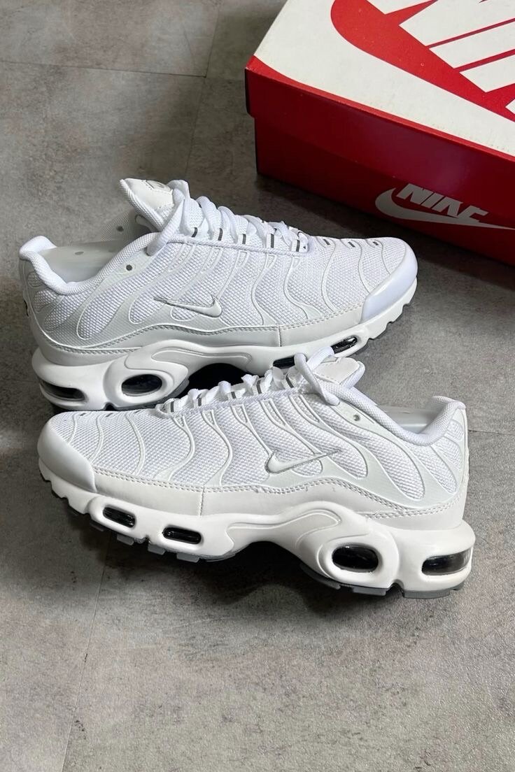 CHAUSSURE NIKE Tn