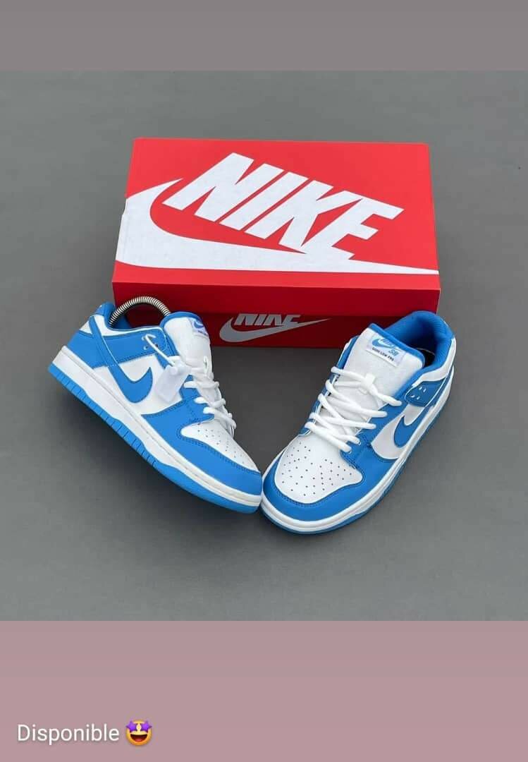 Nike Dunk Low Bleu et Blanc