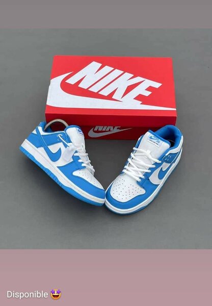 Nike Dunk Low Bleu et Blanc