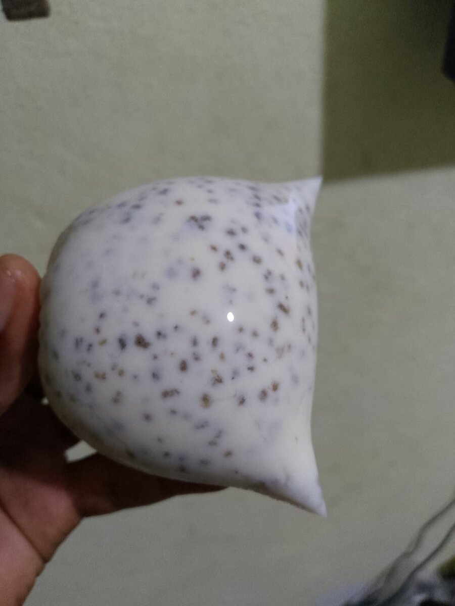 Bon Dêguê