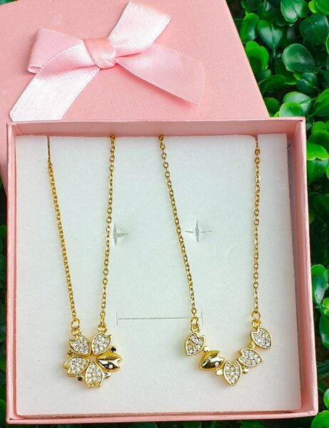 Two in one necklace