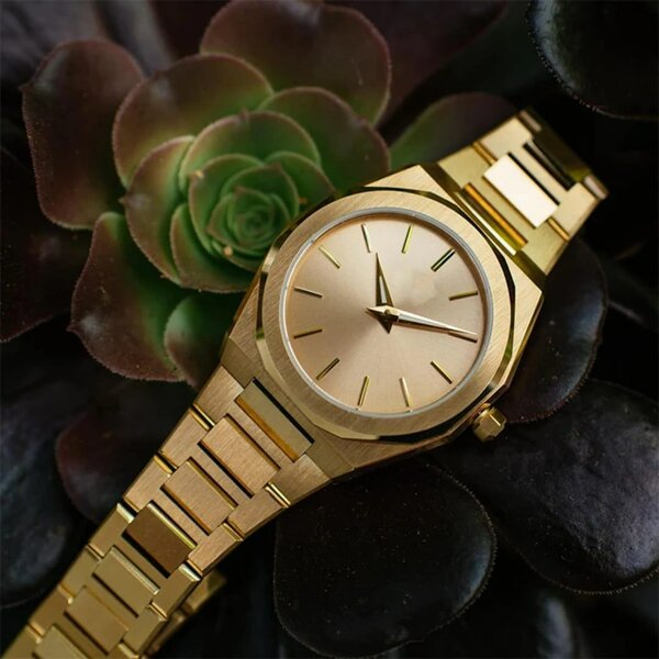 Montre élégante en acier