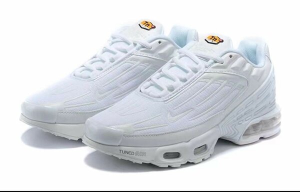 Chaussure homme