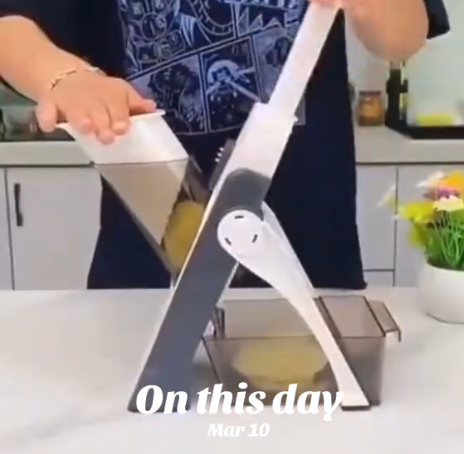 Vegetable slicer 