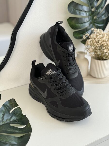 Nike Pegasus