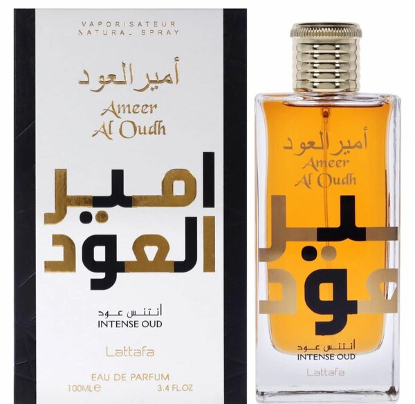 Ameer al oudh
