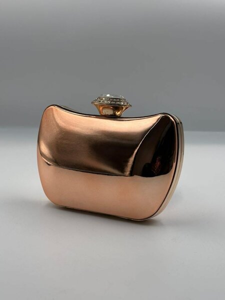 Blue & Nude Purse