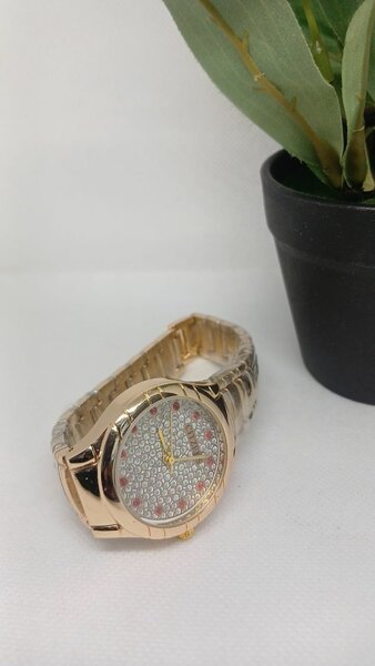 Ladies watch