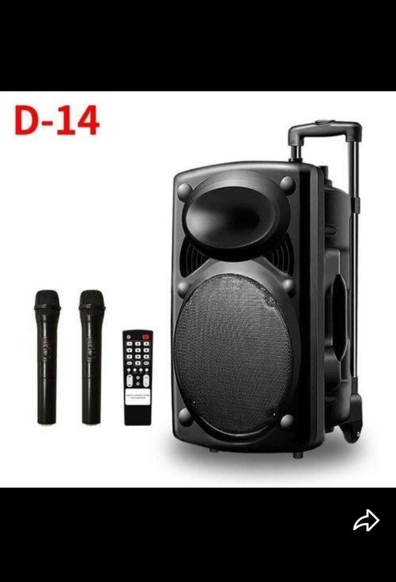 Amplificateur avec 2micros +BT