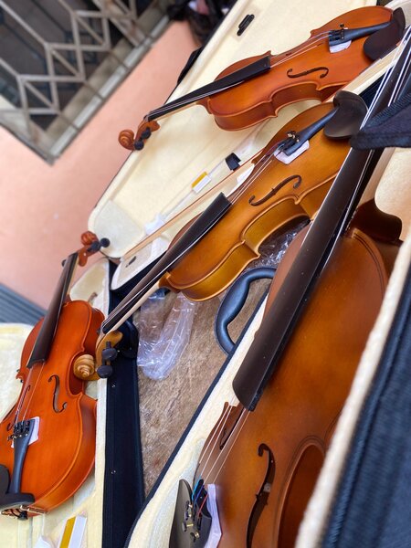 Violon