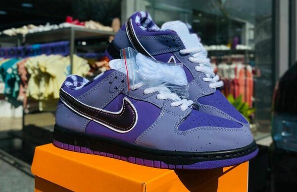 Nike SB