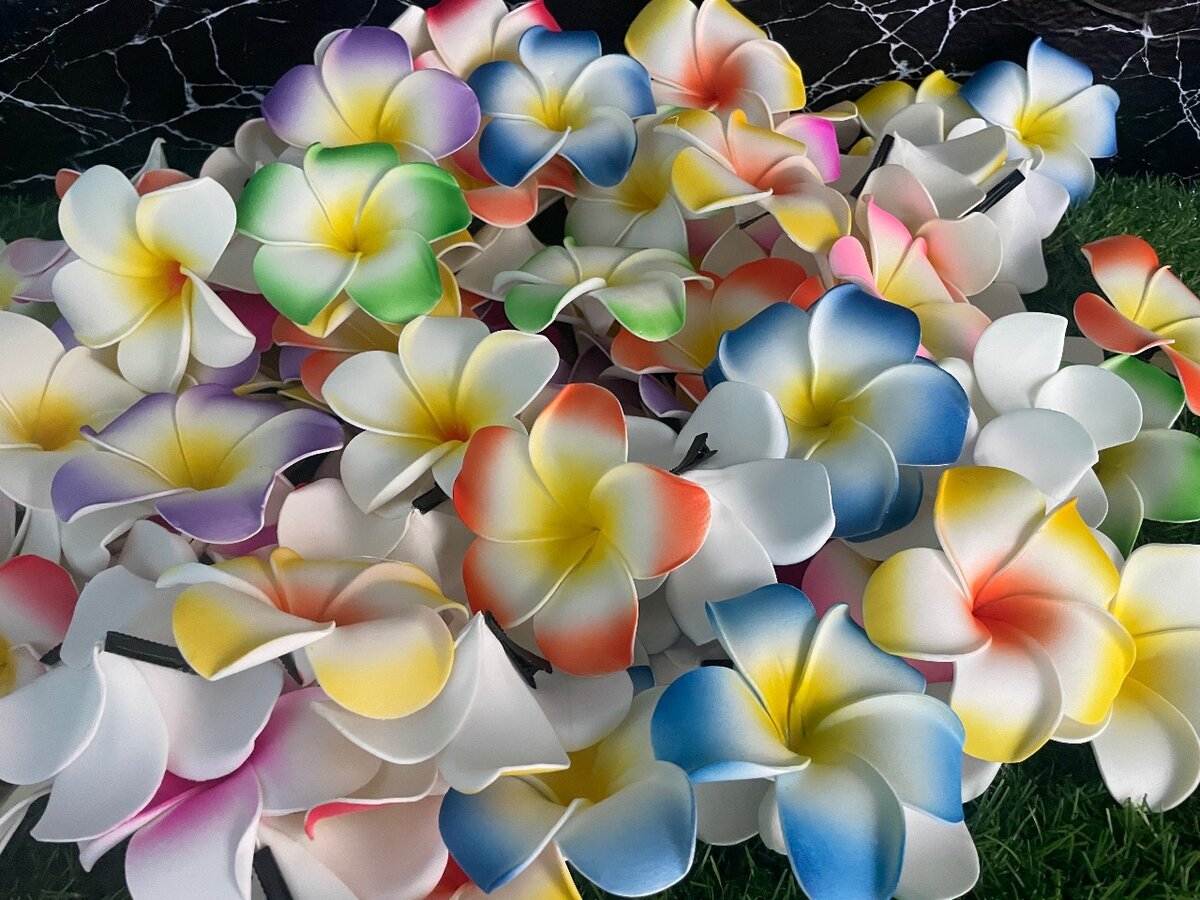 Fleurs Hawaiianes Colorées