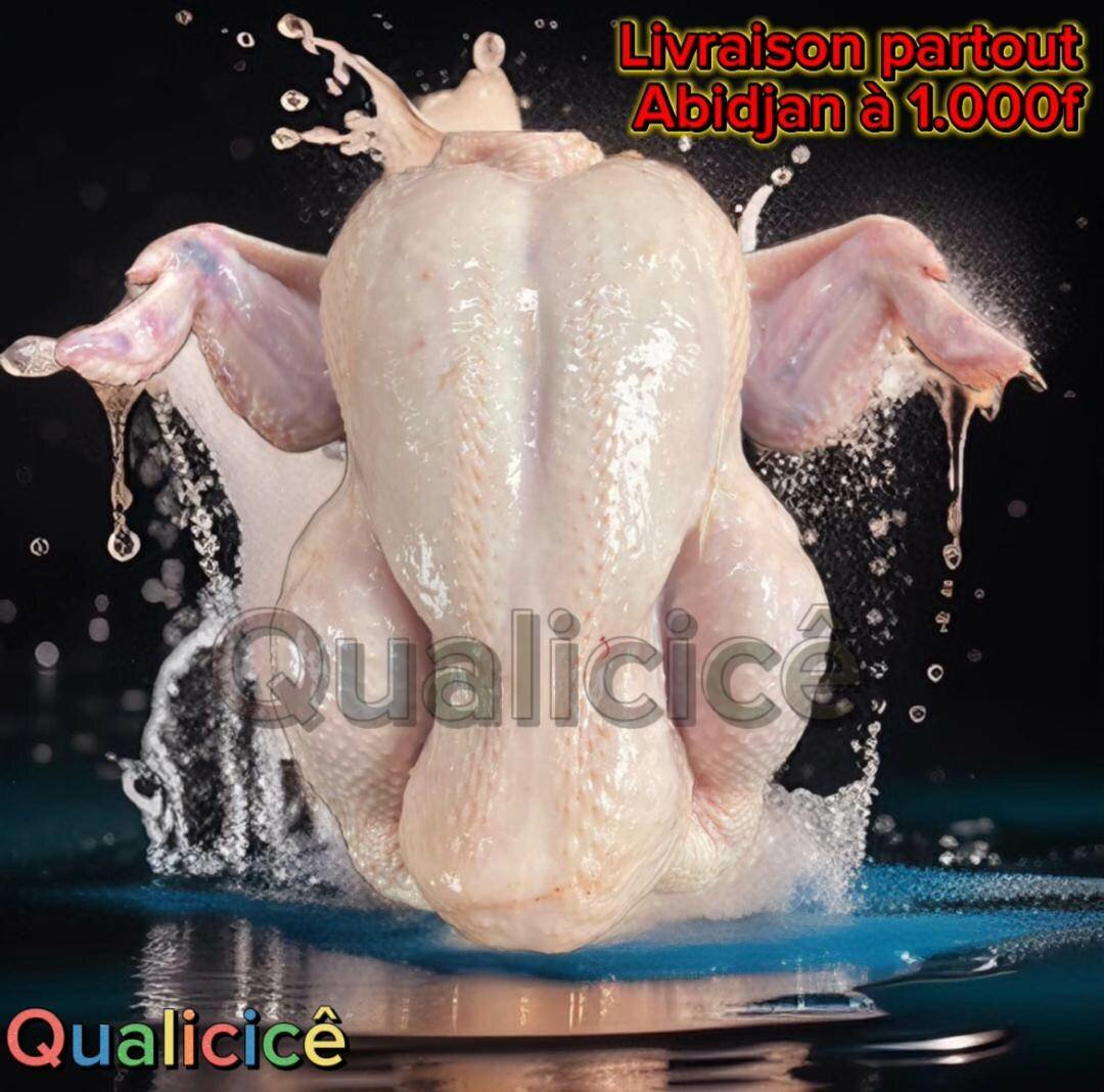 Poulet de chair