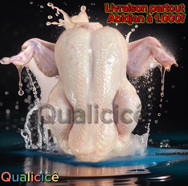 Poulet de chair