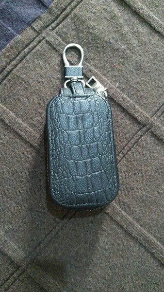 Earpod Case