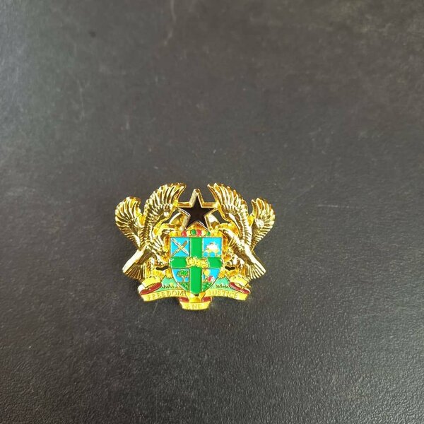 LAPEL  PINS