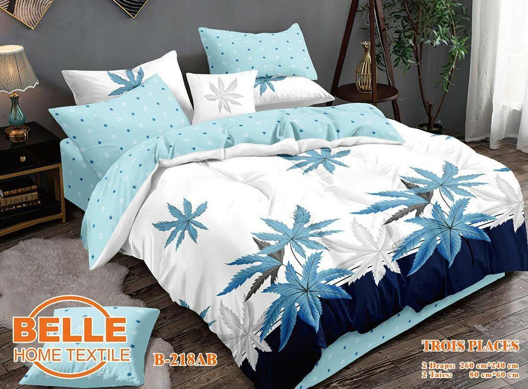 Deux draps de 3 places et deux taies d'oreillers