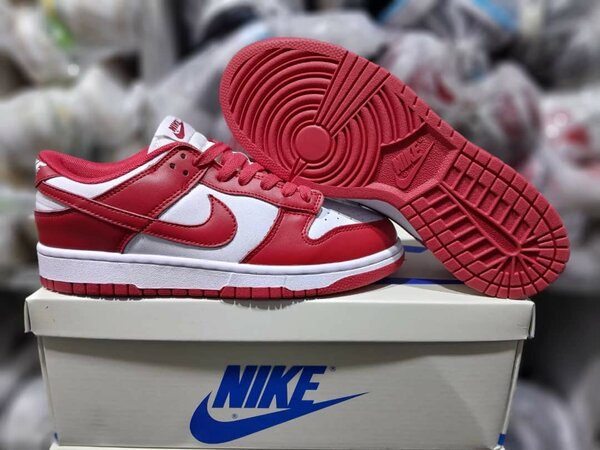 Chaussure SB NIKE