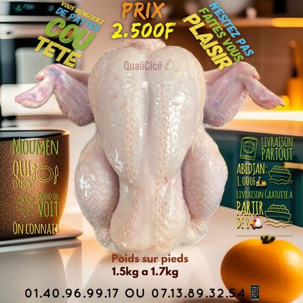 Poulet de chair