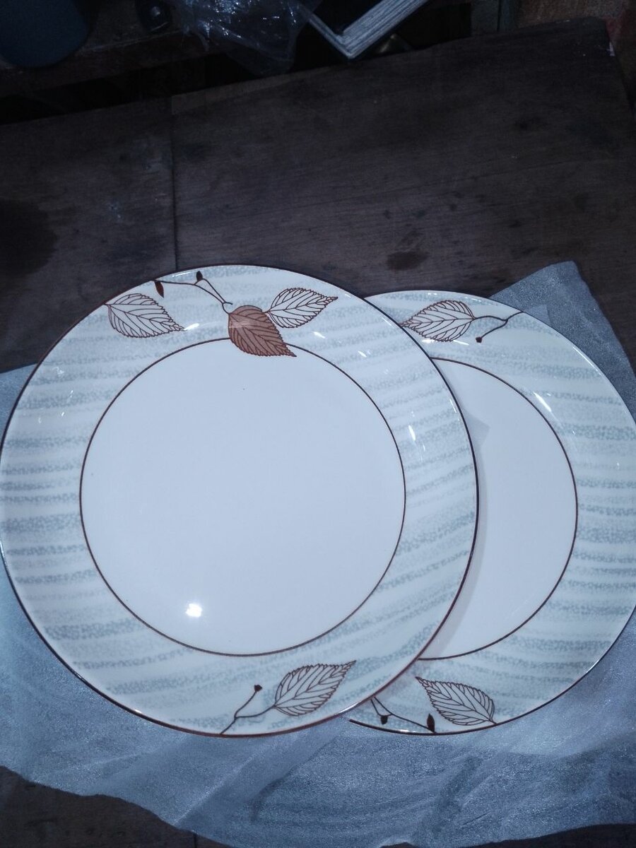 Assiettes cassables