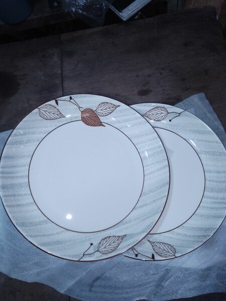 Assiettes cassables