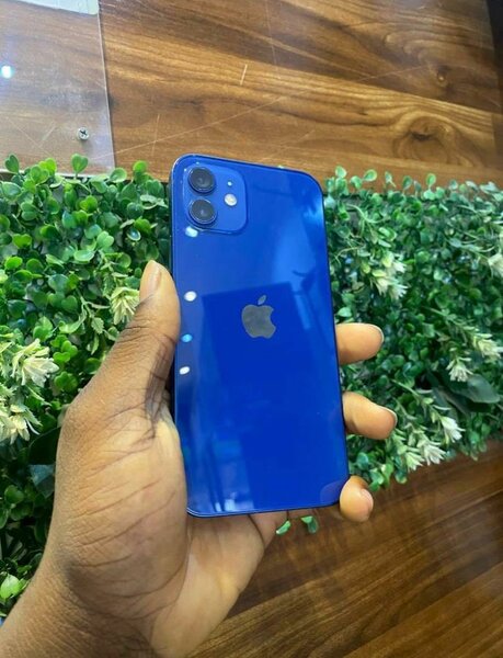 iPhone 12