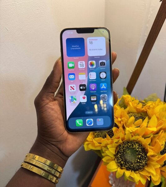iPhone 13 Pro Max