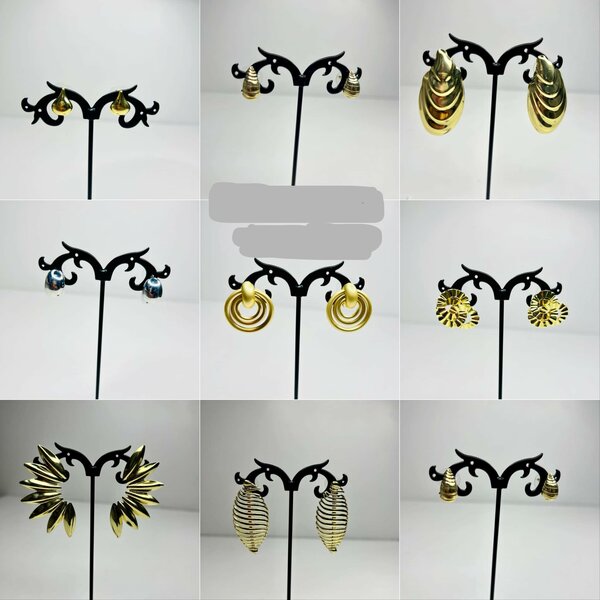 Earrings