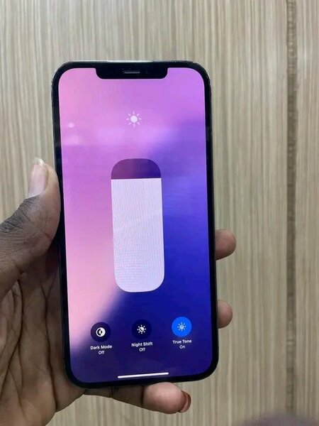 iPhone 12 Pro Max Gris