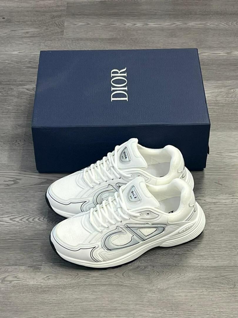 Chaussure Dior