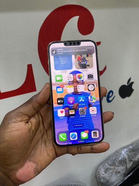 iPhone 13pro max