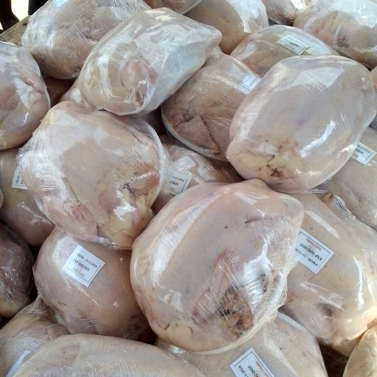 Poulets frais