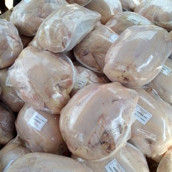Poulets frais