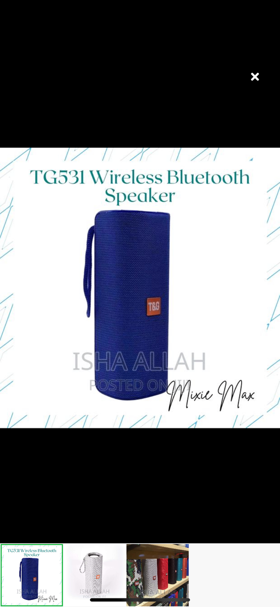T&G speaker