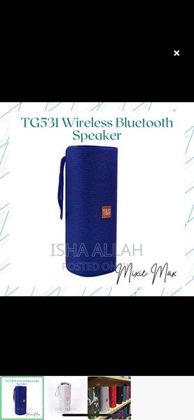 T&G speaker