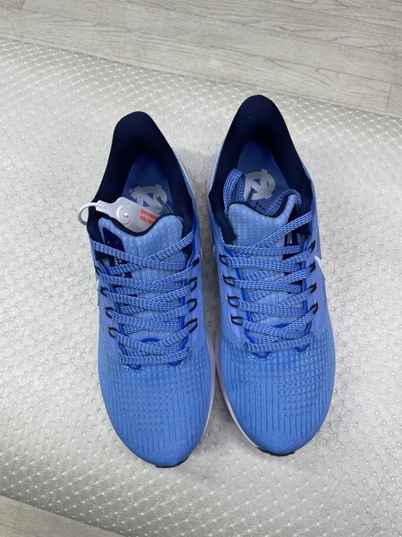 Nike pegasus39