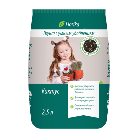 Грунт